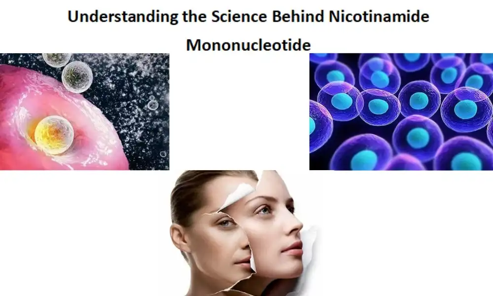 Understanding the Science Behind Nicotinamide Mononucleotide